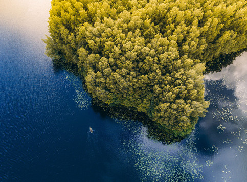 Abstract nature