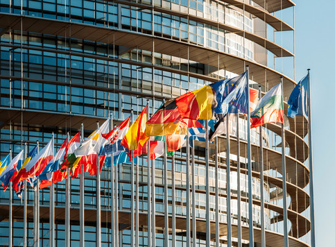 European Parliament