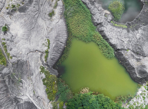 Aerial nature