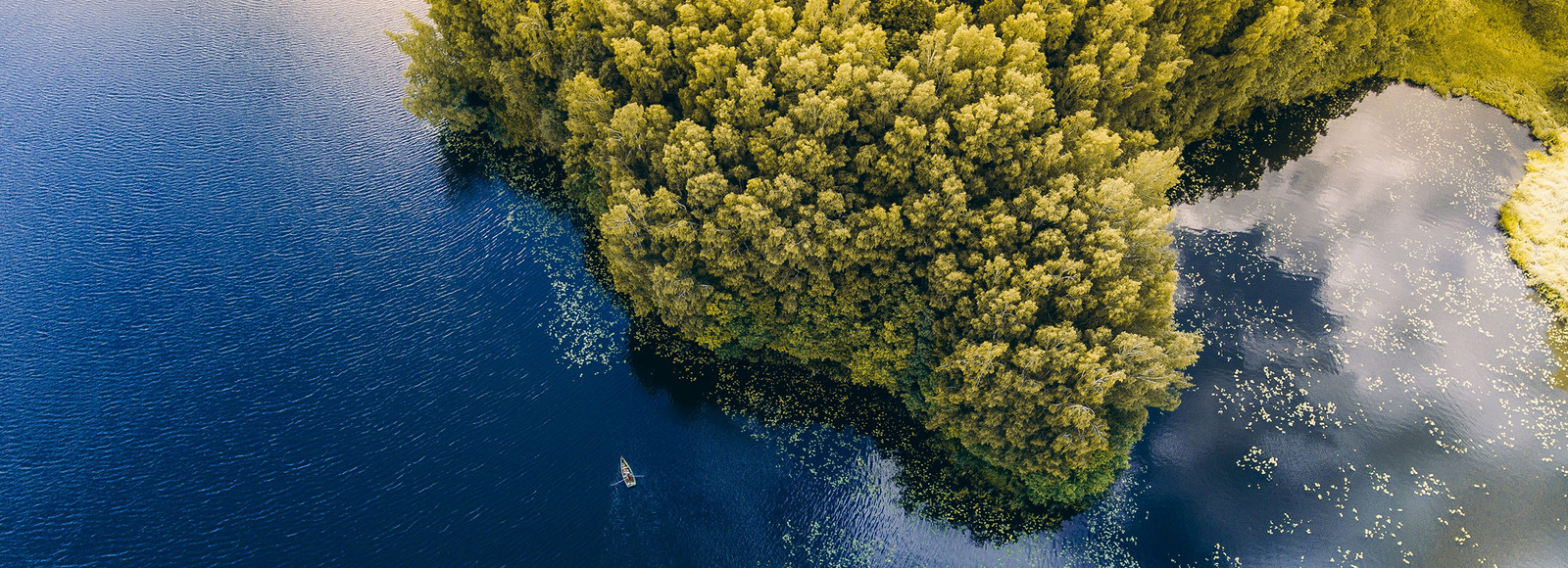 Abstract nature