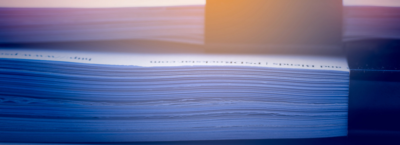 Document pages