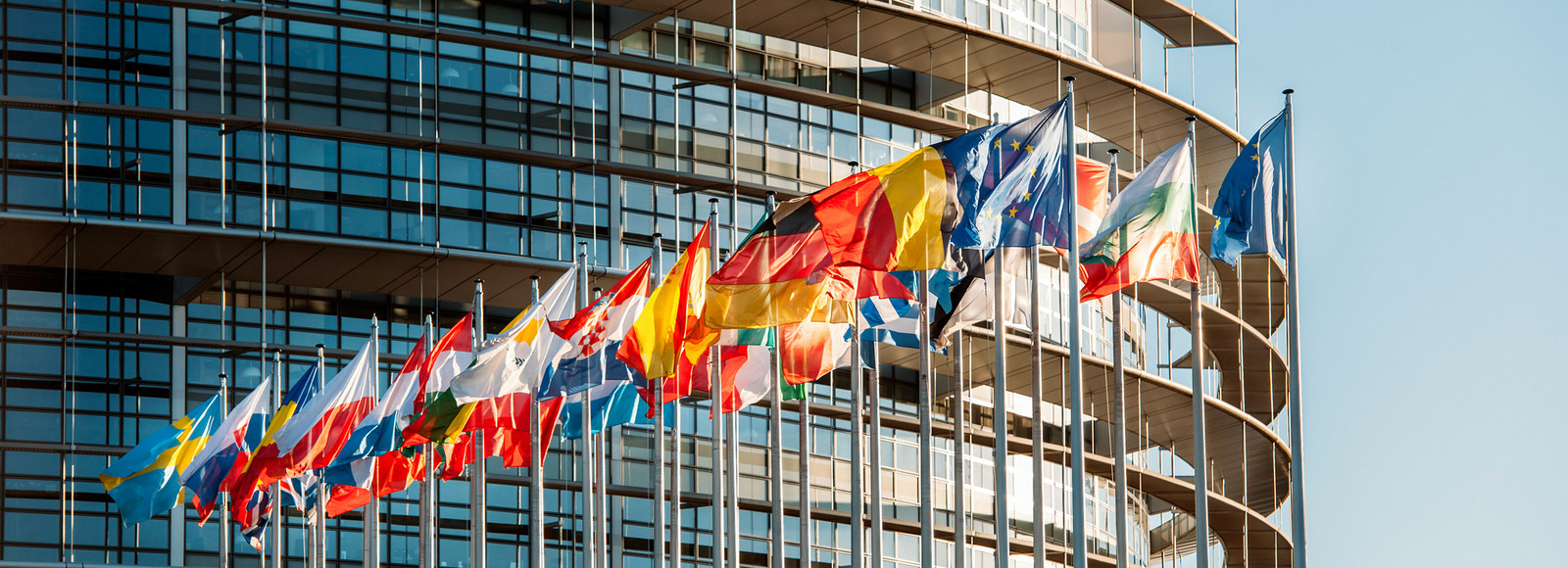 European Parliament