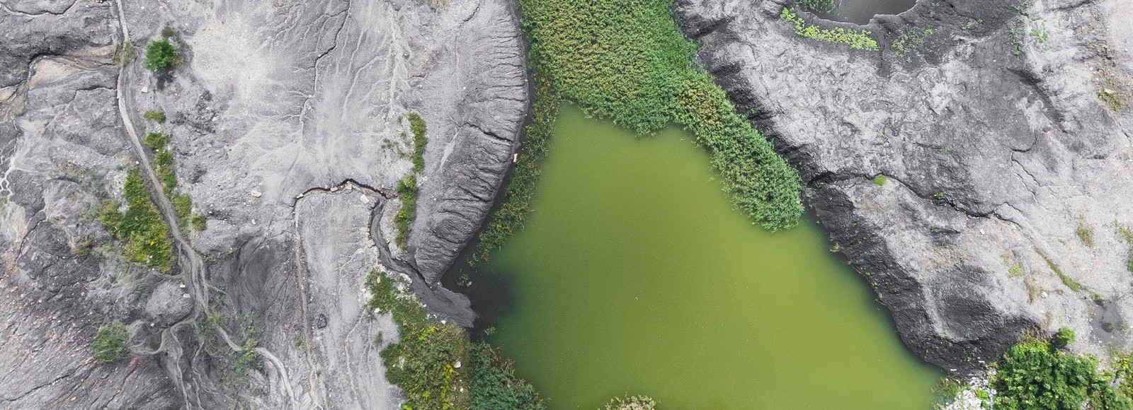 Aerial nature