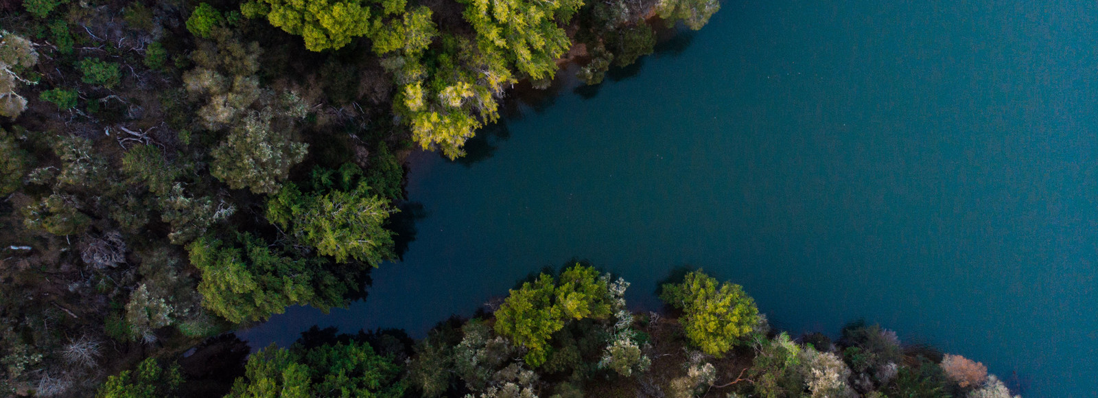 Abstract nature. 