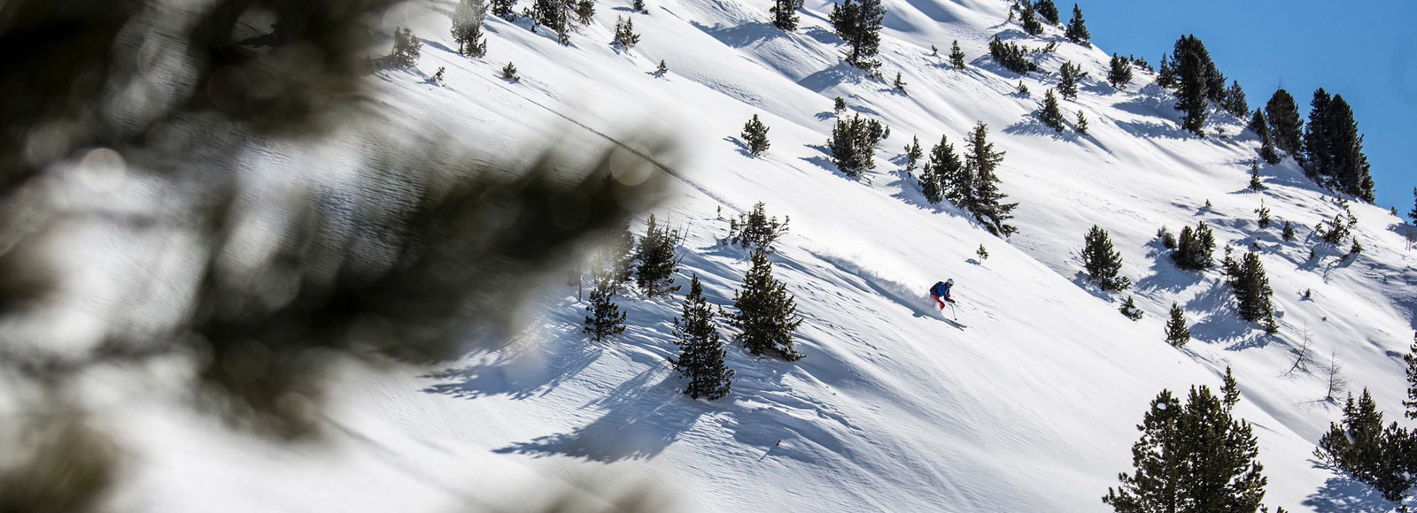 Skiing.